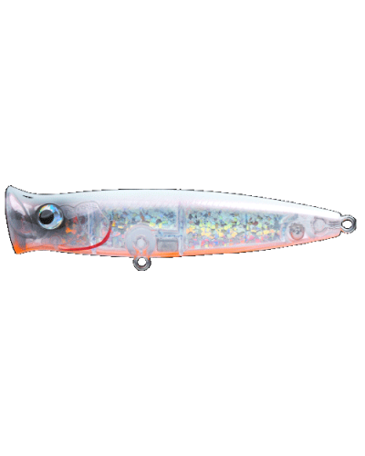 Ubuntu 135 de Fishus |