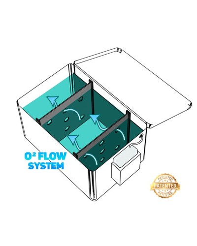 Cubo plegable Yuki competición | Cubo Vivero de EVA con Cremallera y Asas – Alta resistencia y funcionalidad para jornadas de...