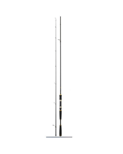 Caña Daiwa Legalis Seabass 802 HFS |